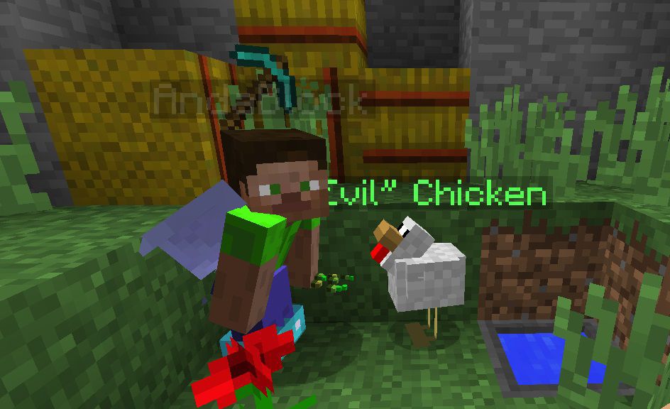 Spieler mit Huhn als Pet