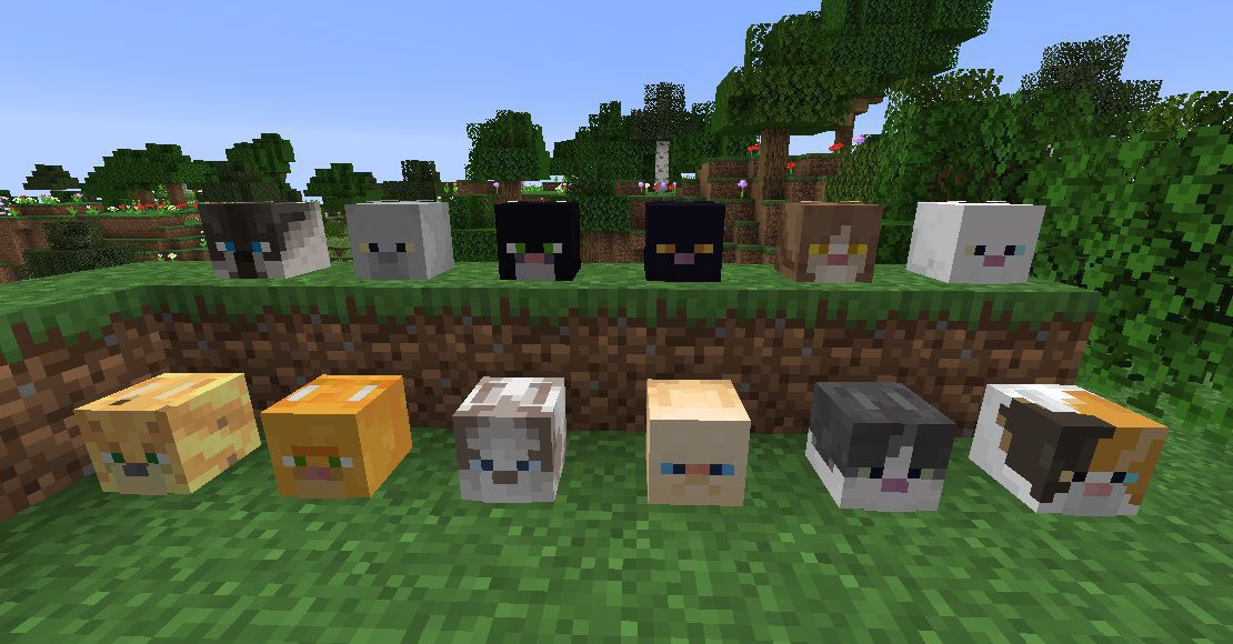 Katzen