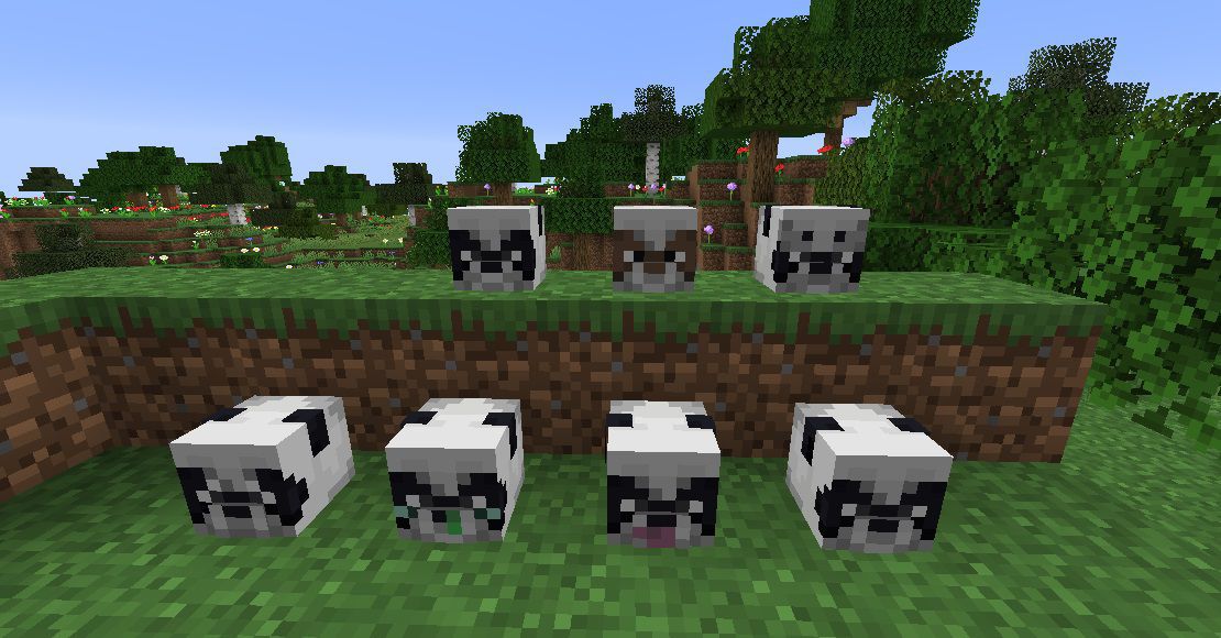 Pandas
